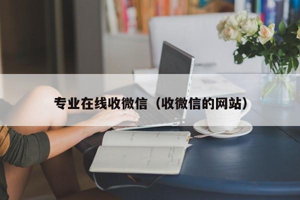 专业在线收微信（收微信的网站）